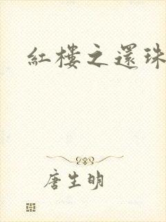 红楼之还珠与溶