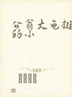 公翁大龟挺进我的小