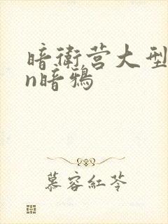 暗卫营大型hpn暗鸦