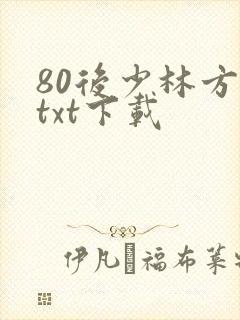 80后少林方丈txt下载