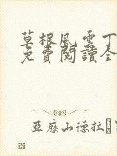 草根风云丁长生免费阅读全本