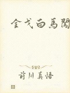 金戈白马闯三国