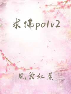 求佛po1v2