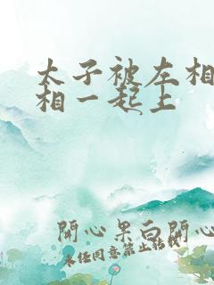 太子被左相和右相一起上