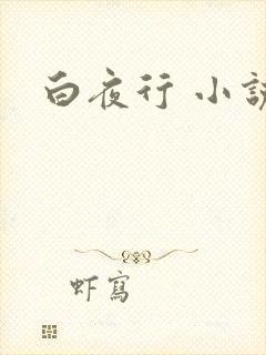 白夜行 小说