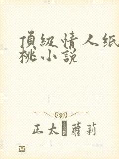 顶级情人纸皮核桃小说