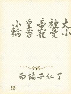 小皇帝被大臣们轮番宠爱小说