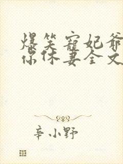 爆笑宠妃爷我等你休妻全文免费阅读