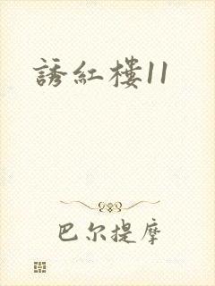 诱红楼11