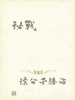 秘战