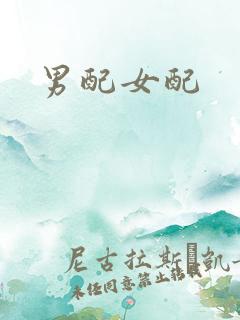 男配女配