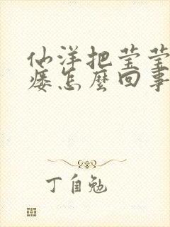 仙洋把莹莹干肛瘘怎么回事