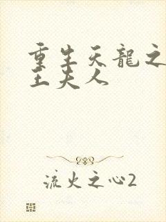 重生天龙之推倒王夫人