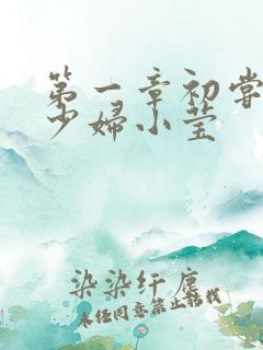 第一章初尝禁果少妇小莹