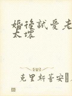 婚后试爱老公别太坏