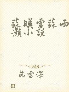 苏映雪苏雨柔苏灏小说