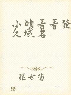 小明看看发布永久域名