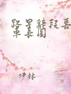 路星辞段嘉衍肉车长图