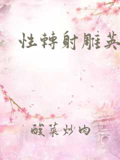 性转射雕英雄传