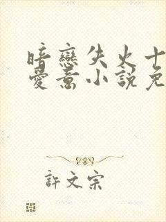 暗恋失火十年的爱意小说免费阅读