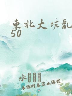 东北大坑乱1—50