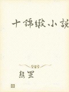 十锦缎小说