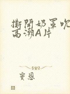 撕开奶罩吮奶头高潮A片