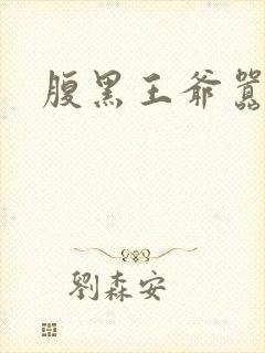 腹黑王爷嚣张妻