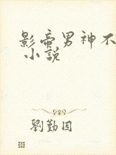 影帝男神不节制 小说