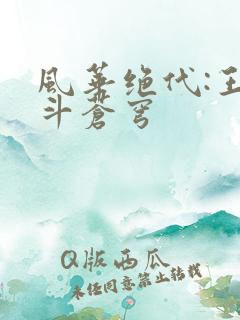 风华绝代:王妃斗苍穹