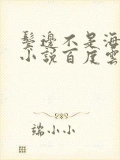 鬓边不是海棠红小说百度云