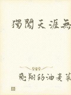 独闯天涯无弹窗