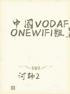 中国VODAFONEWIFI粗暴APP
