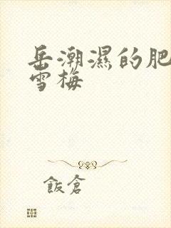 岳潮湿的肥厚李雪梅