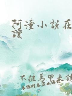 阿潼小说在线阅读