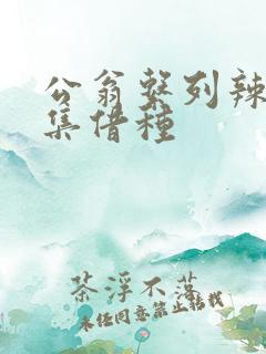 公翁系列辣文全集借种