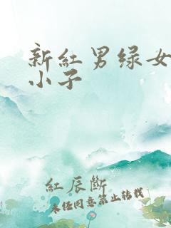 新红男绿女之坏小子