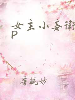 女主小妾卫府NP
