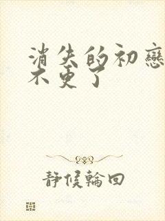 消失的初恋为啥不更了