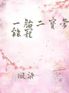 一胎二宝爹地超能宠