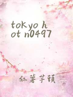 tokyo hot n0497