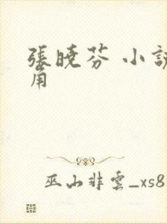 张晓芬 小说主角