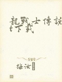 龙战士传说txt下载