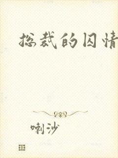 总裁的囚情前妻