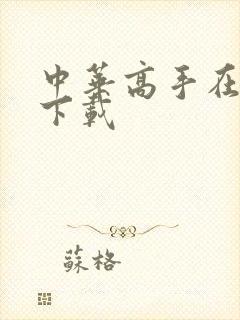 中华高手在异世下载