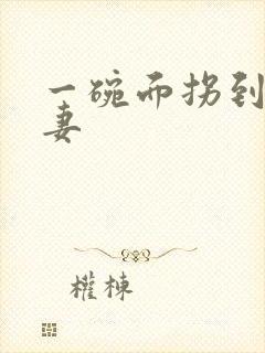 一碗面拐到美艳妻