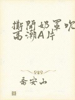 撕开奶罩吮奶头高潮A片