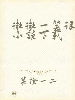 微微一笑很倾城小说下载