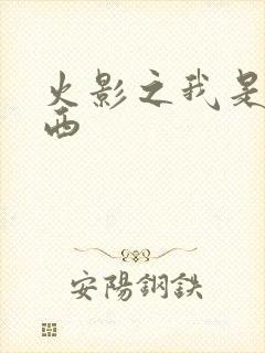 火影之我是卡卡西