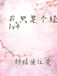 我只是个经纪人1v4